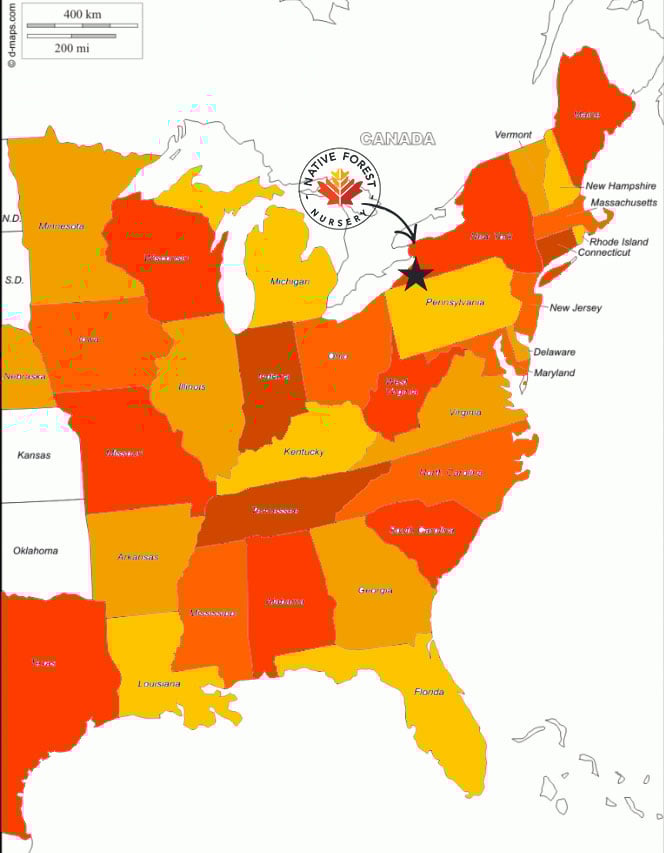 Native New York Service Map copy