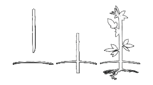 livestakes copy_nobackground livestakes copy_nobackground