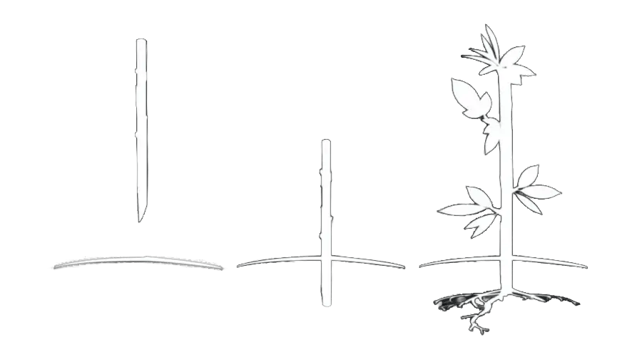 livestakes_hero copy_nobackground