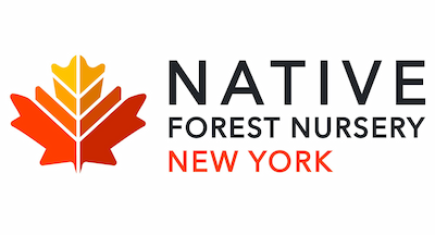 Native Forest Nursery New York