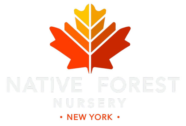 Native Forest Nursery New York Logo