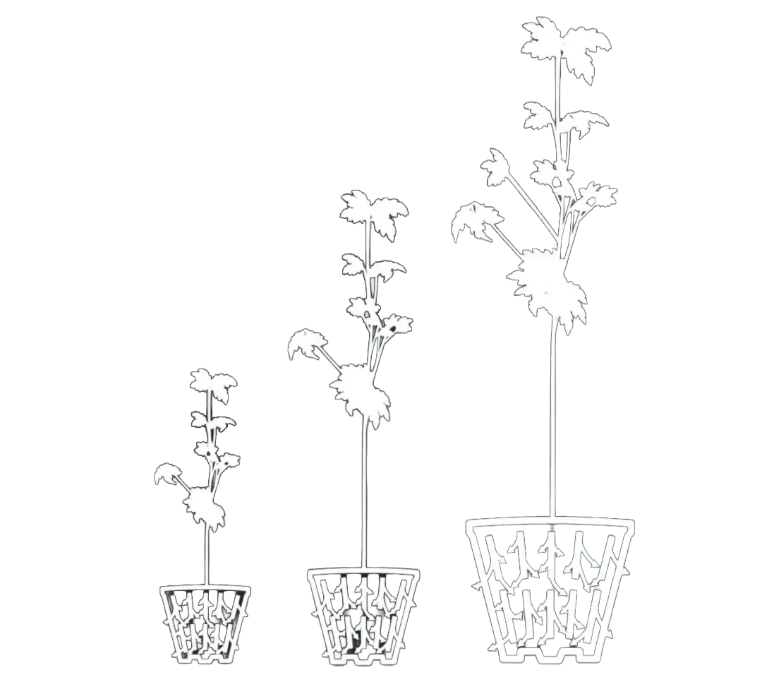 rediroot_hero copy_nobackground